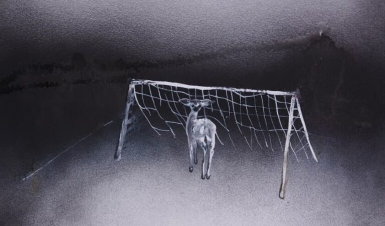 Edith Meijering, de aard van het beestje – Altijd Vandaag